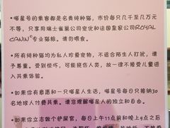 -猫咪博物馆(顶澳仔猫街店)