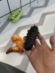 -乐多星球潮玩中心(沈阳嘉里城店)