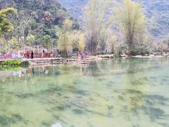 -靖西鹅泉风景区