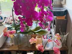 -ABCD咖啡屋(妇幼店)