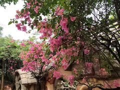 -长鹿旅游休博园