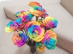 -ROSEONLY诺誓(国际广场购物中心店)