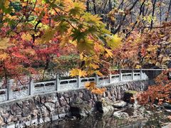 -丹东凤凰山景区