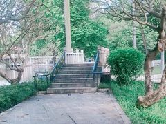 -晓港公园