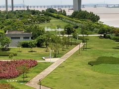 -芒洲湿地公园