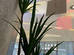 -代数学家algebraist(苏州中心店)