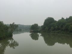 -东园小馆·早茶·淮扬小炒(宋夹城店)