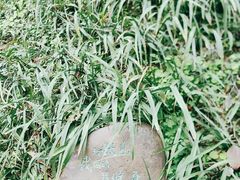 -重庆平顶山公园