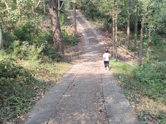 -青龙山国家森林公园