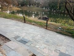 -天鹅湖体育公园