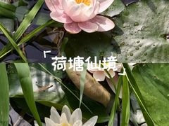 -郑州植物园