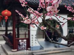 -莘庄公园