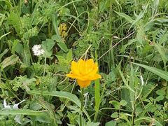 -白草畔自然风景区