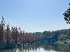 -同里国家湿地公园