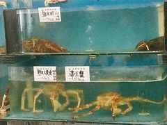 水产区-东海渔村海鲜码头大排档