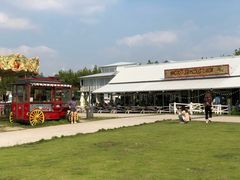 -栖露营camping·天幕烧烤·团建拓展·采摘营地