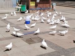 -王府井奥莱棋盘山小镇