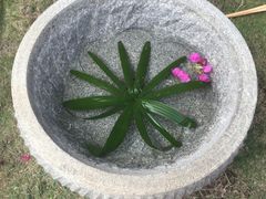 -三亚珠江南田温泉度假区