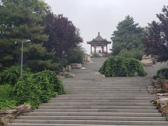 -大兴滨河森林公园