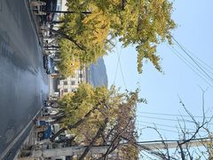-东山风景区(洞庭东山)