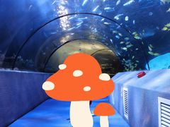 -太平洋海底世界