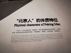 -北京周口店北京人遗址博物馆