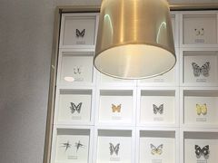 -峨嵋小镇(远洋城店)