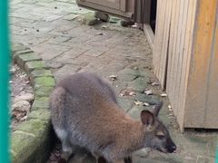 -武汉紫薇都市田园