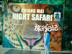 -清迈夜间动物园