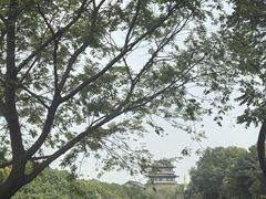 -海珠湖公园