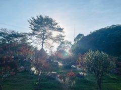 -广州市帽峰山景区