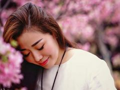 -天适樱花悠乐园