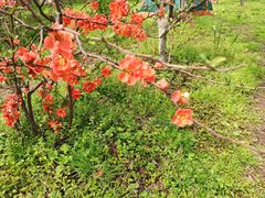 -共青国家森林公园-售票处
