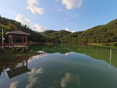 -广州白江湖森林公园