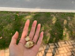 -思念果岭悦温泉