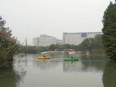 -青枫公园