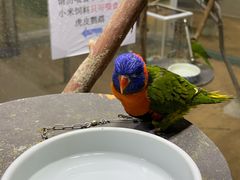 -上海大自然野生昆虫馆(东方明珠·爬宠昆虫探索中心)