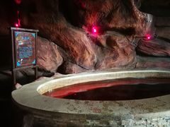 -中家鑫园温泉酒店鑫悦汤泉