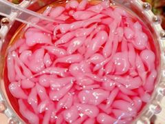 -耙吉吉川味小酒馆(本地人回头店)
