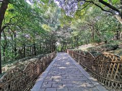 -灵岩山风景区