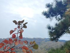 -香山公园