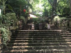 -老木棉·匠园
