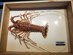 -浙江自然博物院(杭州馆)