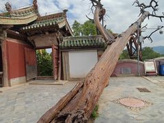 -玉泉观