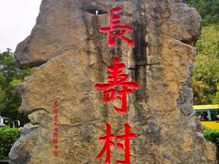 -长寿村