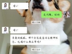 -宠爱国际动物医院· 猫科· 外科·中兽医(长白店)