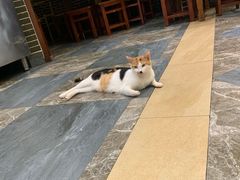 -晓马鸭店(新芜路店)