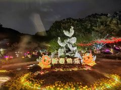 -金鸡山公园