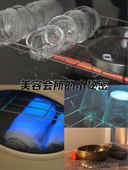 -薇薇安花系SPA