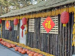 -黑龙江省森林植物园